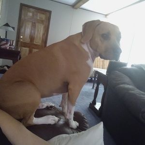 Meet your Posher, Tara